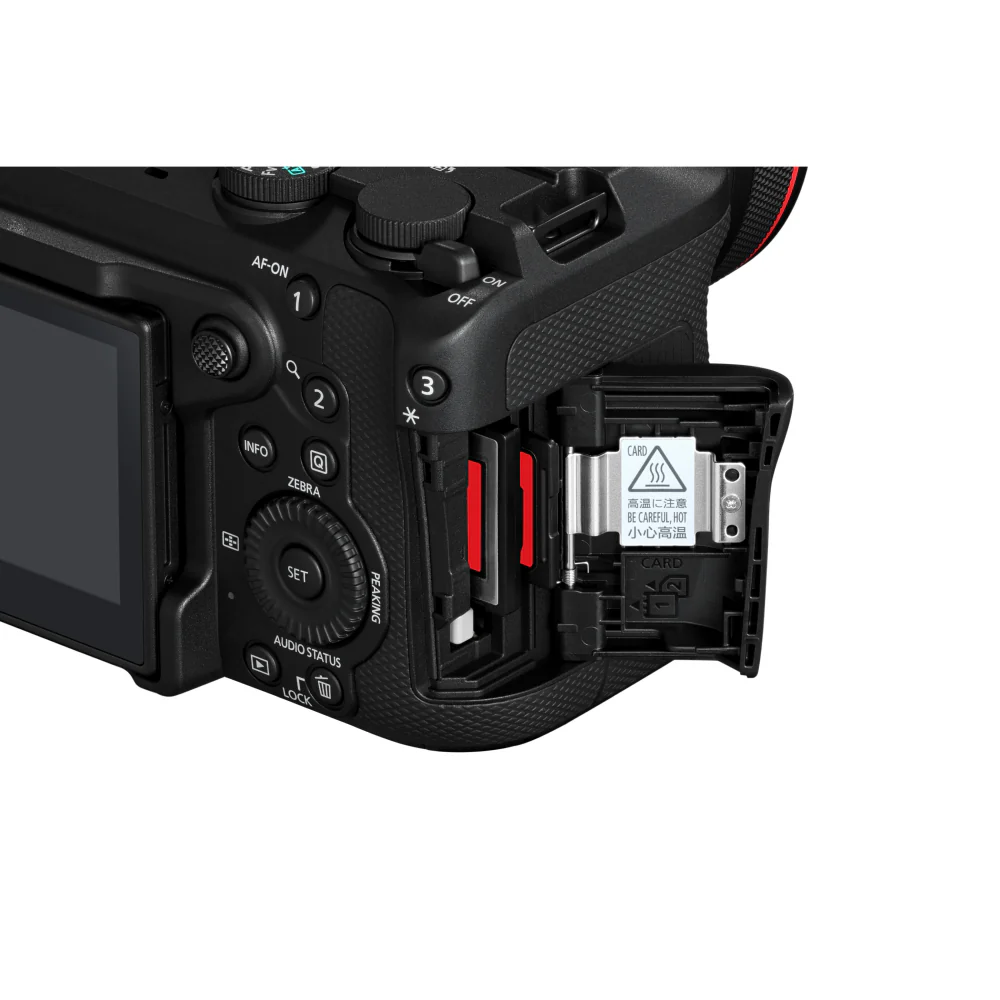 Canon EOS R6 V with RF 20-50mm f/4L IS USM PZ Lens and Rode Wireless GO (Gen 3) Compact Microphone System - Image 15
