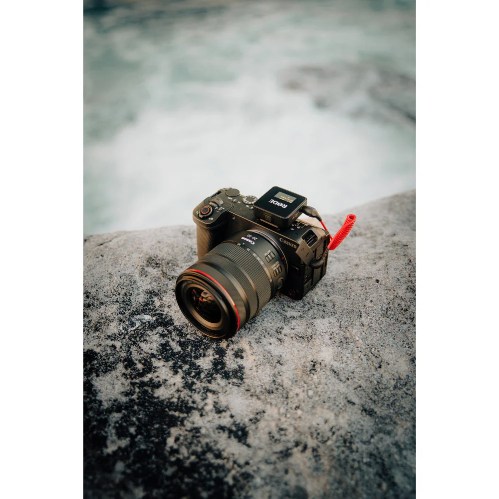 Canon EOS R6 V with RF 20-50mm f/4L IS USM PZ Lens (Master Kit) - Image 55