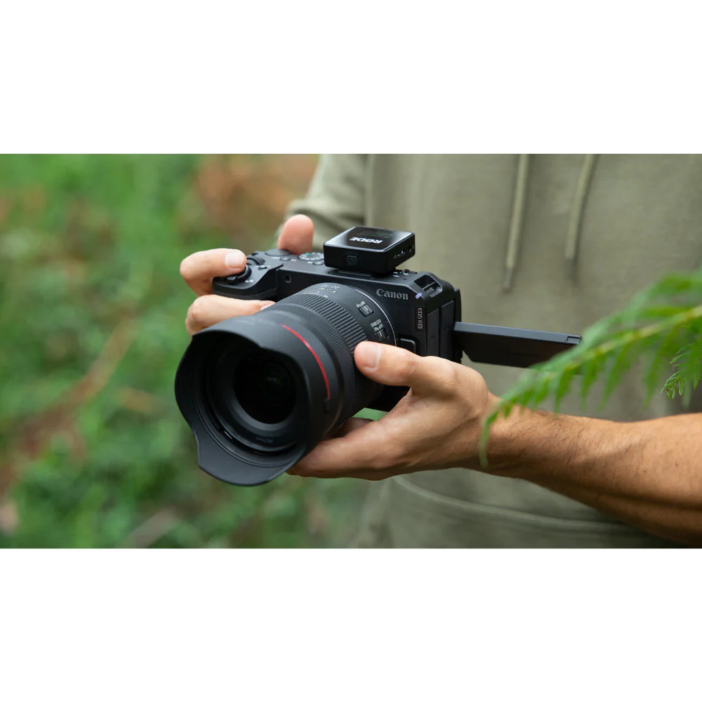 Canon EOS R6 V with RF 20-50mm f/4L IS USM PZ Lens (Master Kit) - Image 56
