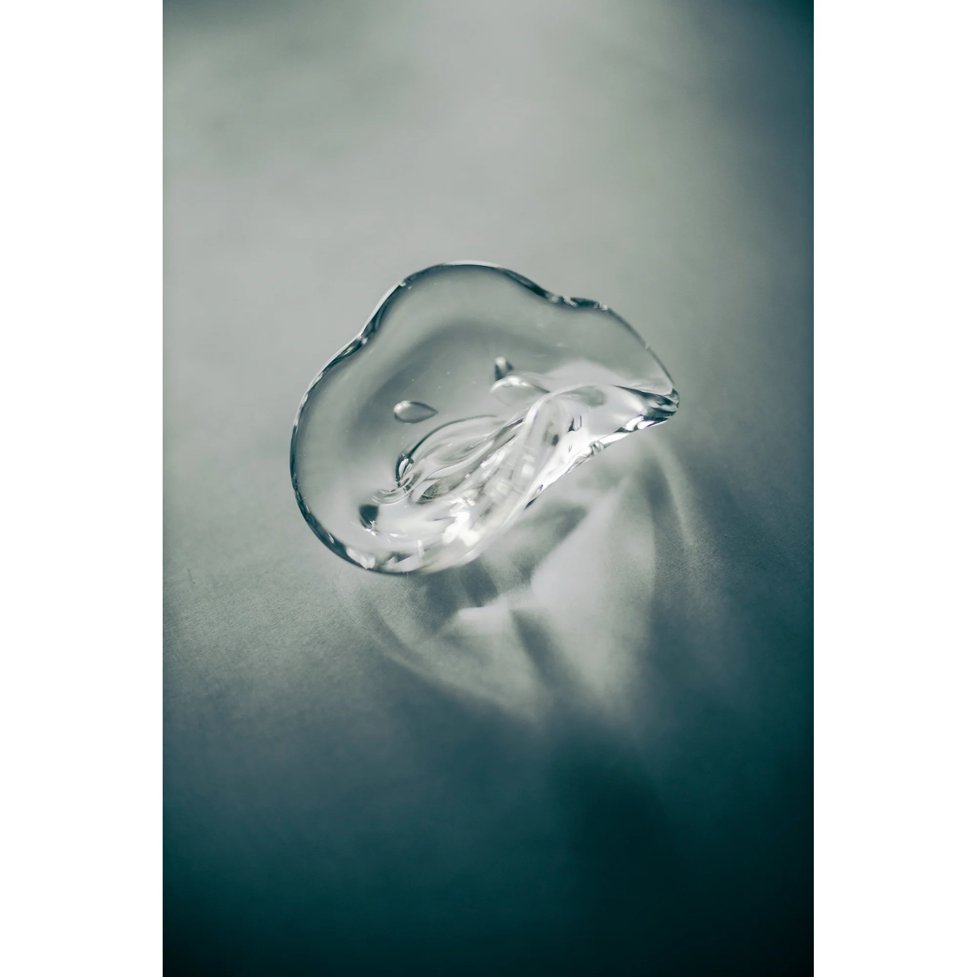 Canon RF 45mm f/1.2 STM Lens - Image 9