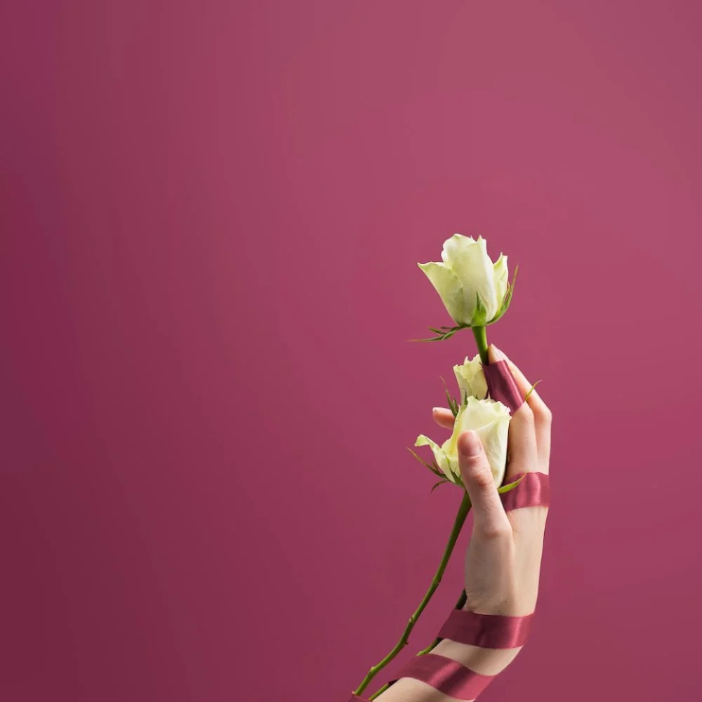 Colorama Paper Background 2.72 x 11m - Image 92