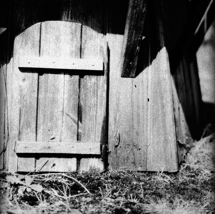 Film Washi F - ISO 100 / 21° - Medical Fluorographic X-Ray 120 Film - Image 4