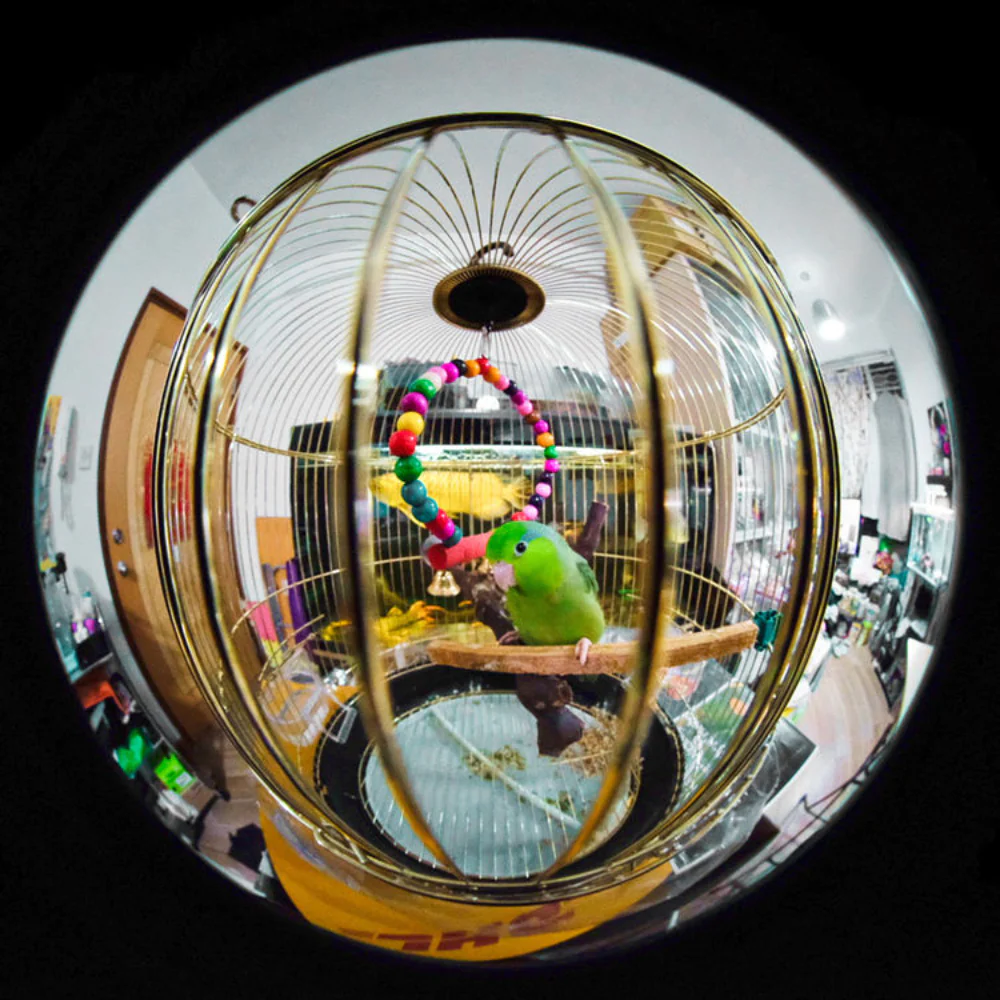 Laowa 4mm f/2.8 Fisheye Lens for Canon RF - Image 7
