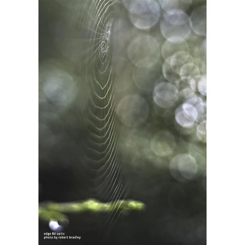 Lensbaby Composer Pro II with Edge 80 Optic For Fujifilm X - Image 7