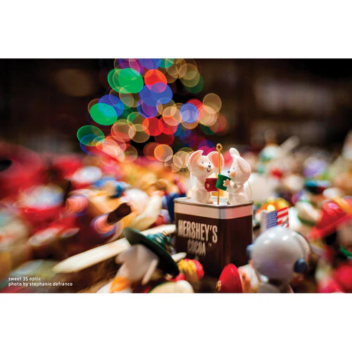 Lensbaby Composer Pro II with Sweet 35 Optic Lens For Nikon Z - Image 13