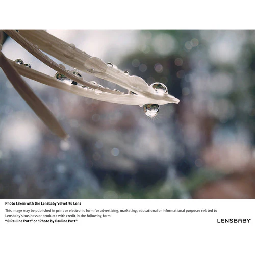 Lensbaby Velvet 56mm f/1.6 SE Lens for Canon EF (Silver) - Image 5