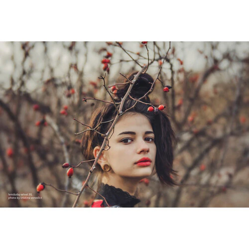 Lensbaby Velvet 85mm f/1.8 Lens for Micro Four Thirds - Image 16