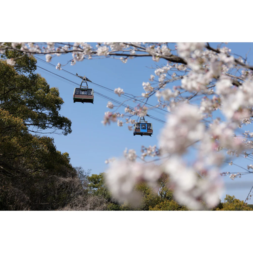 Panasonic Lumix S 24-60mm f/2.8 Lens - Image 15