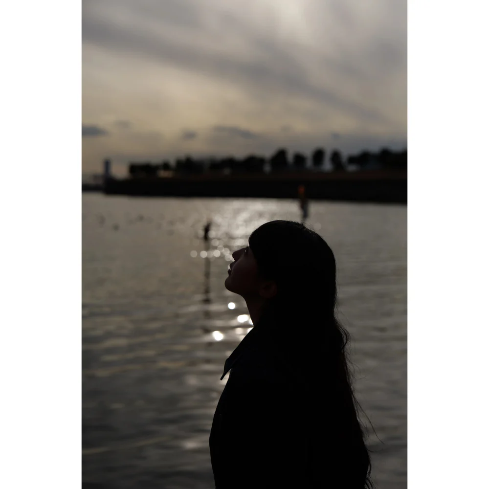 Panasonic Lumix S1 II E with S 24-60mm f/2.8 Lens - Image 21