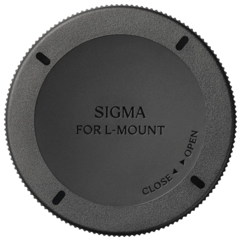 Sigma 16-300mm f/3.5-6.7 DC OS Contemporary Lens (Sony E) - Image 8